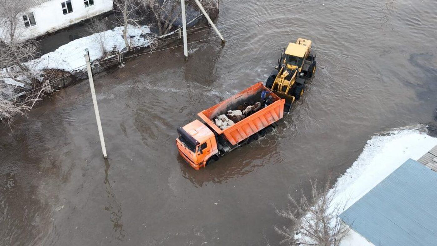 До прихода большой воды в Петропавловск неделя – вице-премьер - 07.04.2024,  Sputnik Казахстан