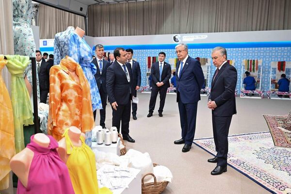 Главы государств договорились активизировать совместные производства в приграничных районах - Sputnik Казахстан