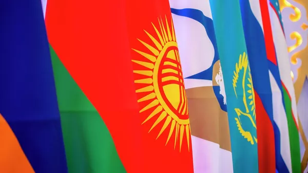 Техрегулирование в ЕАЭС: от безопасности игрушек до цифровых паспортов на авто - видеомост - Sputnik Казахстан