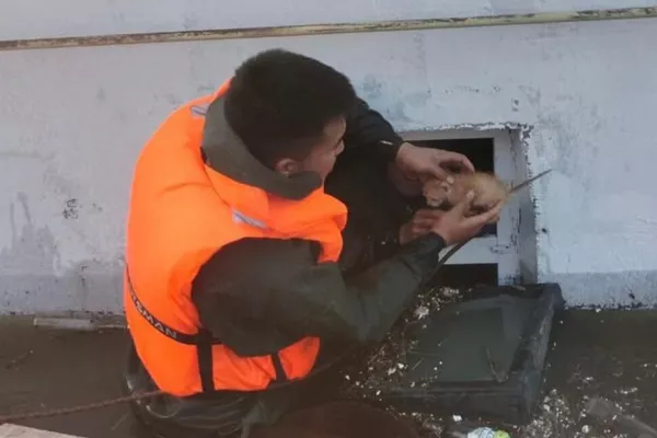 Для спасателей важна каждая жизнь, даже самая маленькая - Sputnik Казахстан