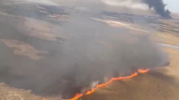 Природный пожар в Балхашском районе Алматинской области - Sputnik Казахстан