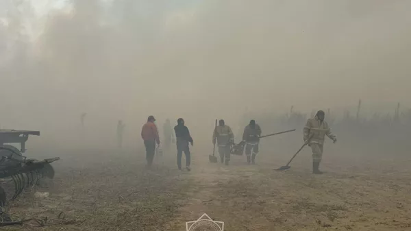 Пожар в Балхашском районе - Sputnik Қазақстан