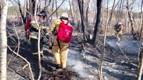 Тушение лесного пожара в Семей Орманы  - Sputnik Қазақстан