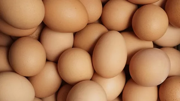 Куриные яйца, иллюстративное фото  - Sputnik Казахстан