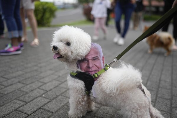 Собака с портретом кандидата в президенты Панамы Хосе Рауля Мулино во время предвыборного мероприятия в Панама-Сити. - Sputnik Казахстан