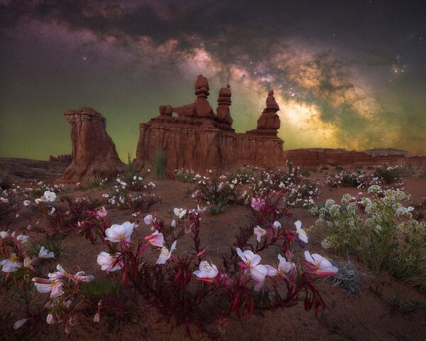 “Цветение в пустыне”, Марчин Заяк (Государственный парк Гоблин-Вэлли, штат Юта). - Sputnik Казахстан