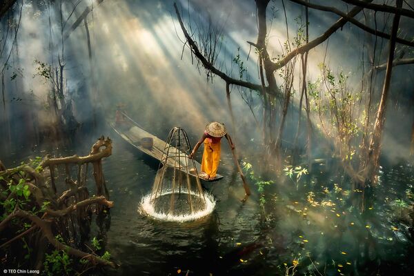 Снимок &quot;Еда в поле&quot;, автор Тео Чин Леонг. Бирманский рыбак пытается поймать рыбу в мангровом лесу. Ранние утренние лучи солнца создают волшебную атмосферу. - Sputnik Казахстан