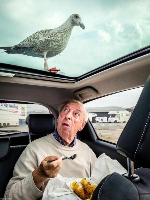 Фотограф Лоррейн Пул  из Великобритании и его забавный снимок &quot;Незваный гость&quot;. - Sputnik Казахстан