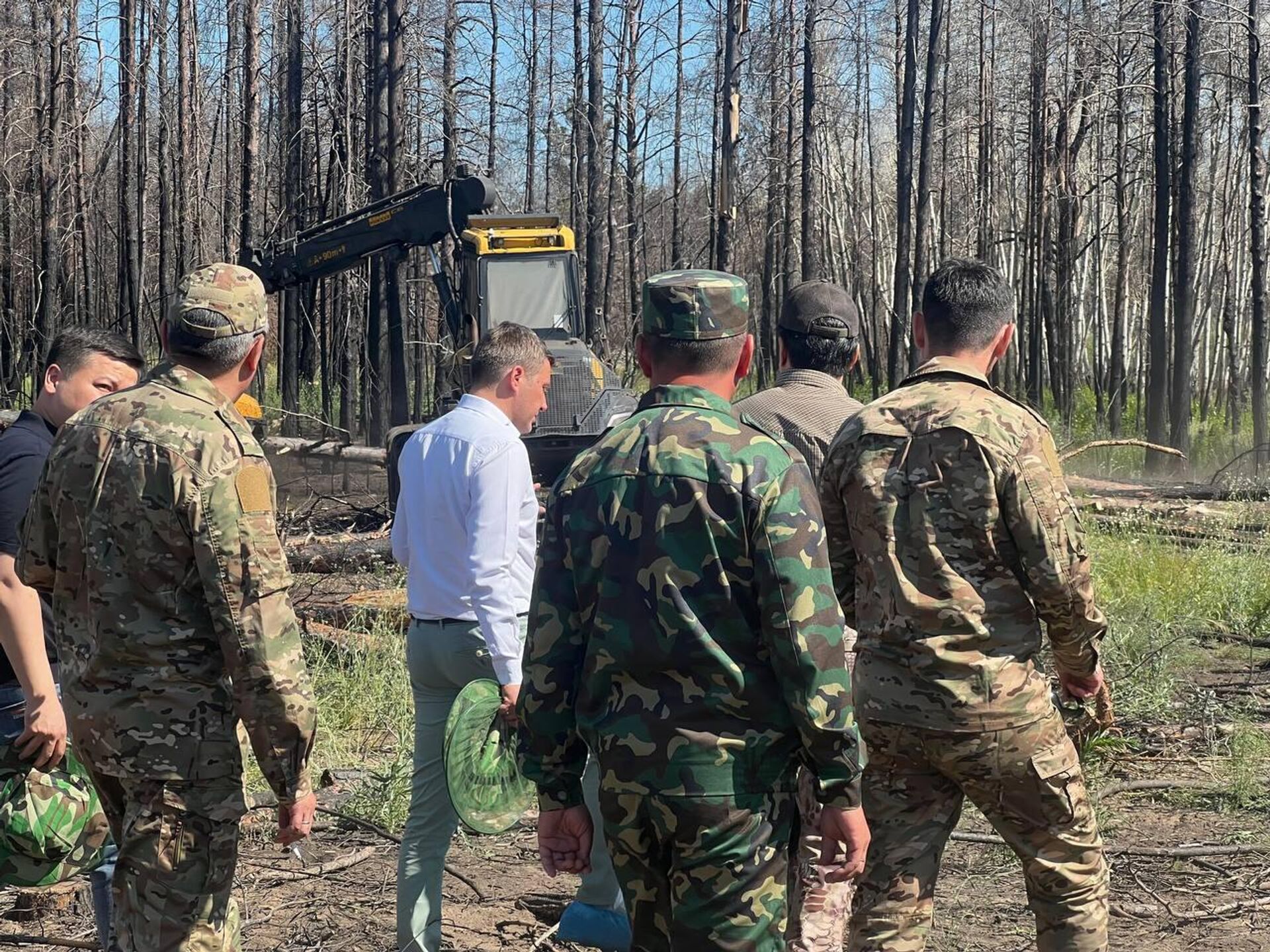 Министр экологии Ерлан Нысанбаев прибыл в резерват Семей орманы, чтобы посмотреть, что происходит с лесом после прошлогоднего пожара  - Sputnik Казахстан, 1920, 29.06.2024