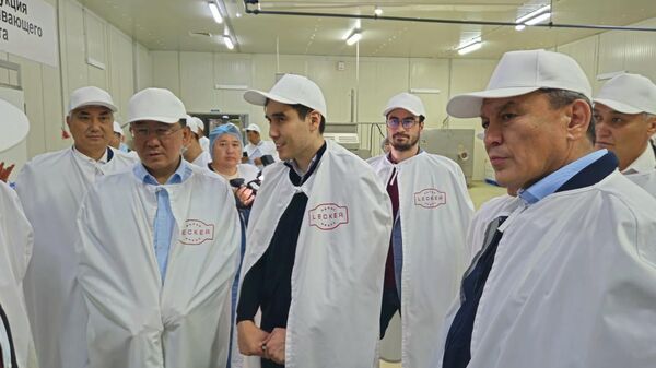 Китай хочет закупать у Казахстана свинину - Sputnik Казахстан