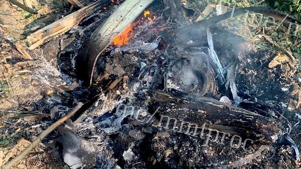 Самолет потерпел крушение в Подмосковье - Sputnik Казахстан