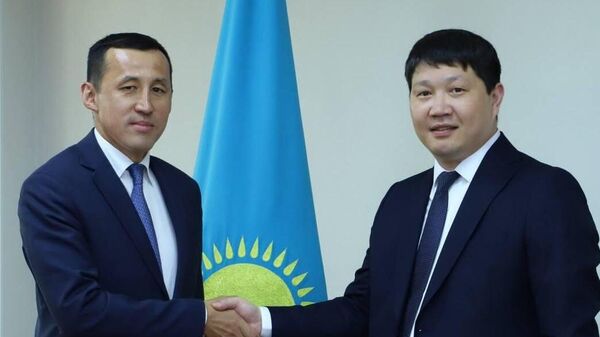 Эльдар Алишеров провел встречи с представителями госорганов Казахстана по таможенным вопросам - Sputnik Казахстан