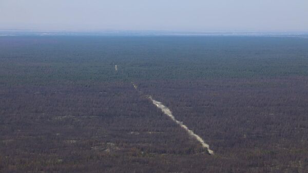 На востоке Казахстана восстанавливают лес - Sputnik Казахстан