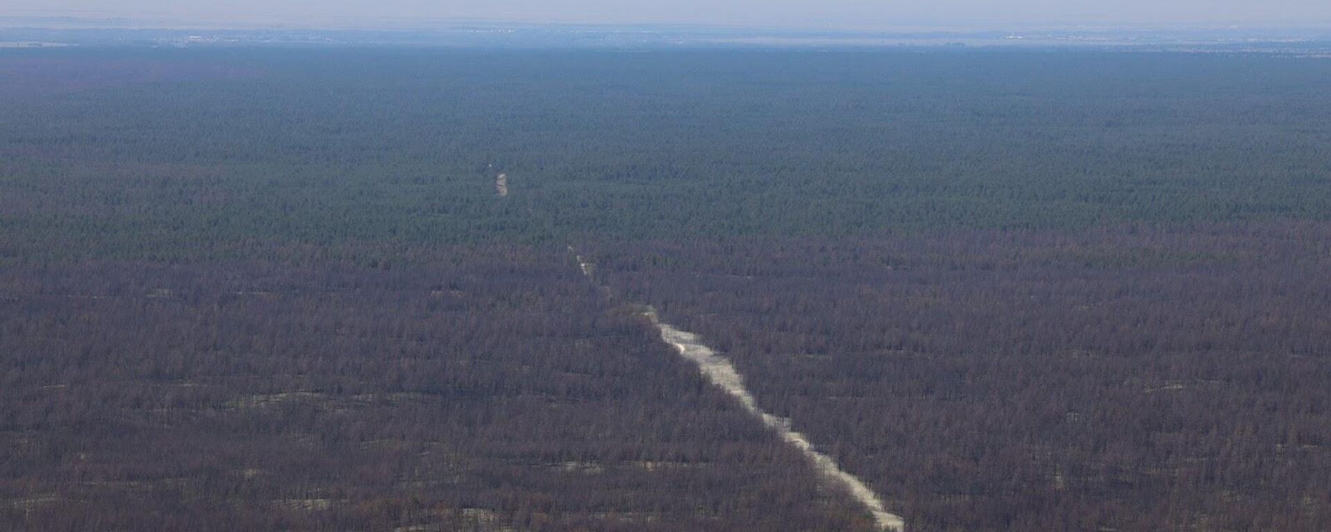 На востоке Казахстана восстанавливают лес - Sputnik Казахстан, 1920, 26.07.2024