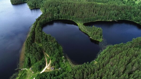 Кенозерский национальный парк, Россия. Объект &quot;Культурный ландшафт озера Кенозеро&quot; находится в заповеднике Архангельской области.Это особо охраняемая территория, сохраняющая природу, историю и культуру Русского Севера. На территории парка существует несколько экосистем, здесь представлены леса, болота, озера, произрастает более 600 видов растений, представлены 50 видов млекопитающих, 263 вида птиц и 28 вид рыб. Многие растения и животные занесены в Красную книгу России.Здесь самое красивое и большое озеро —Кенозеро. - Sputnik Казахстан