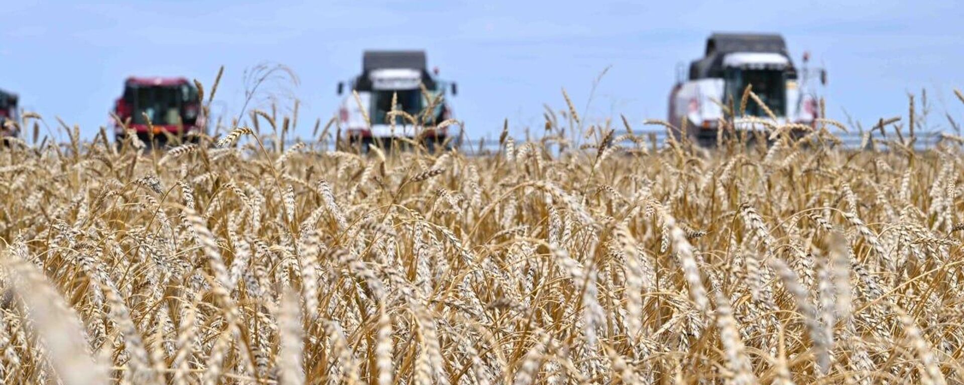 В ходе поездки Президент осмотрел посевные площади ТОО Надеждинка и побеседовал с тружениками
 - Sputnik Казахстан, 1920, 03.10.2025