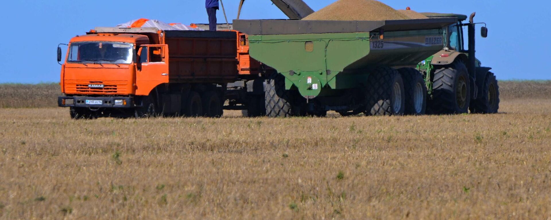 Астық жинау науқаны - Sputnik Қазақстан, 1920, 30.07.2025