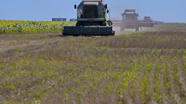 Қазақстанда 9 млн тоннаға жуық астық бастырылды  - Sputnik Қазақстан