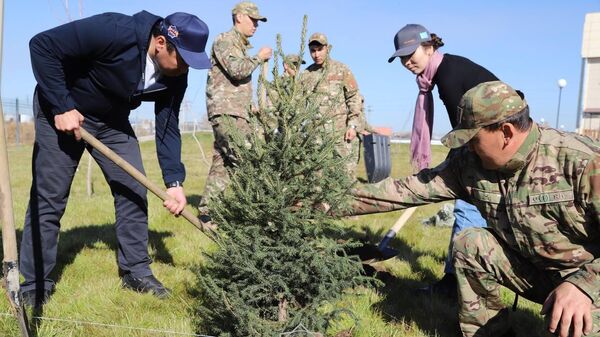 ТЖМ қызметкерлері өрт сөндіру бекеттерінің аумағын абаттандырып жатыр - Sputnik Қазақстан