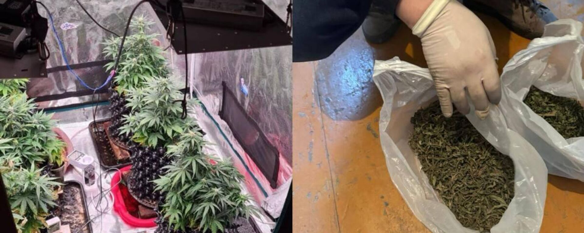 Интернет-магазин наркотиков выявили в ВКО - Sputnik Казахстан, 1920, 16.10.2024