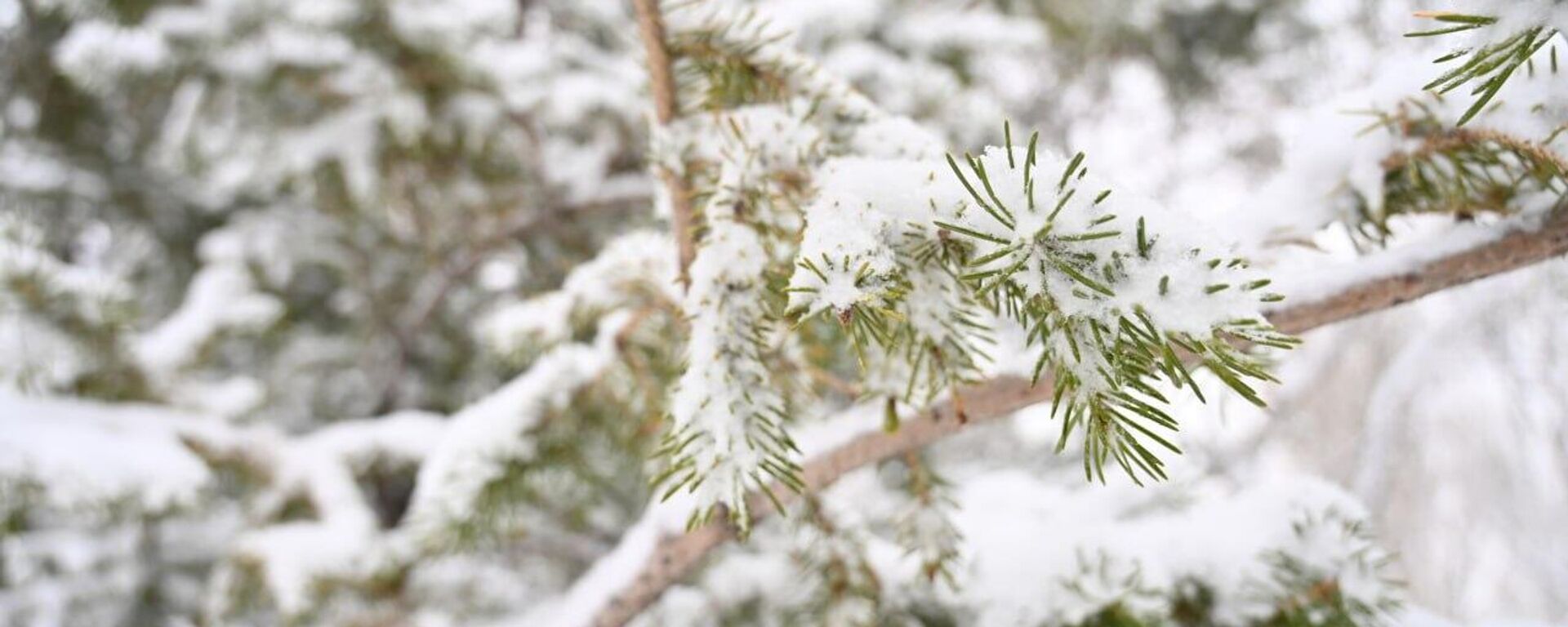 Снег в Астане Снег в Астане - Sputnik Казахстан, 1920, 15.11.2024