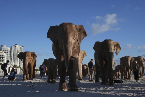 Инсталляция Real Elephant Collective, созданная группой коренных индейских мастеров, в преддверии Art Basel в Майами-Бич, штат Флорида, США. - Sputnik Казахстан