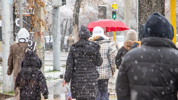 Снег в Алматы - Sputnik Казахстан