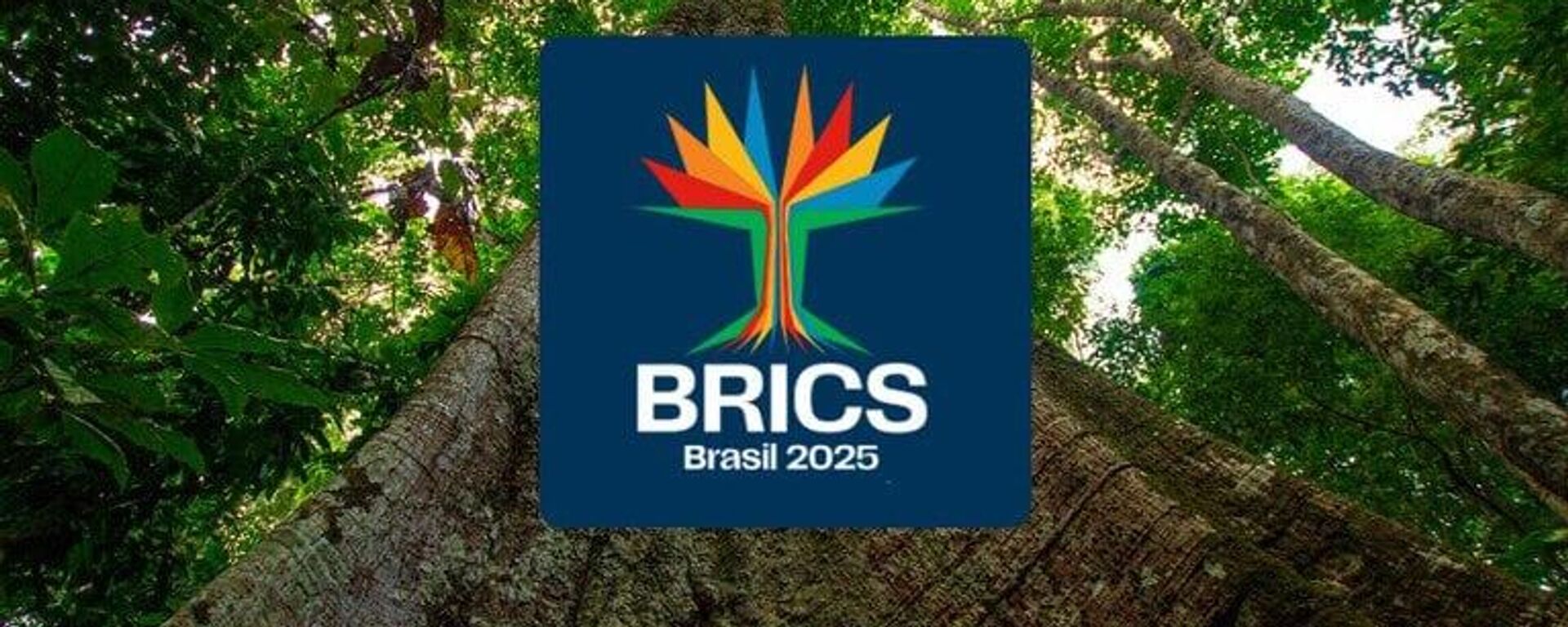 Бразилия представила новый логотип БРИКС Бразилия представила новый логотип БРИКС - Sputnik Казахстан, 1920, 21.12.2024