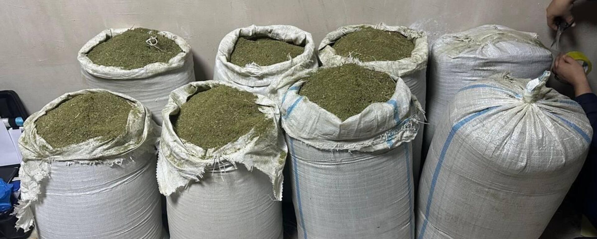 В Актау и Алматы МВД Казахстана ликвидировало каналы сбыта наркотиков - Sputnik Казахстан, 1920, 15.01.2025