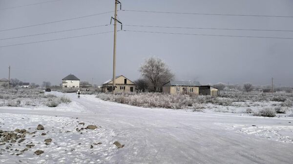 Алматы облысында 300 оқушы мектепке бару үшін бір сағат жаяу жүруге мәжбүр  - Sputnik Қазақстан