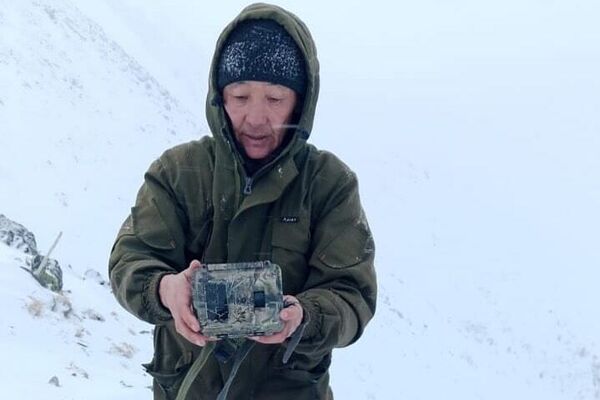 Медведь попал в объектив камеры в Катон-Карагайском национальном парке Медведь попал в объектив камеры в Катон-Карагайском национальном парке - Sputnik Казахстан