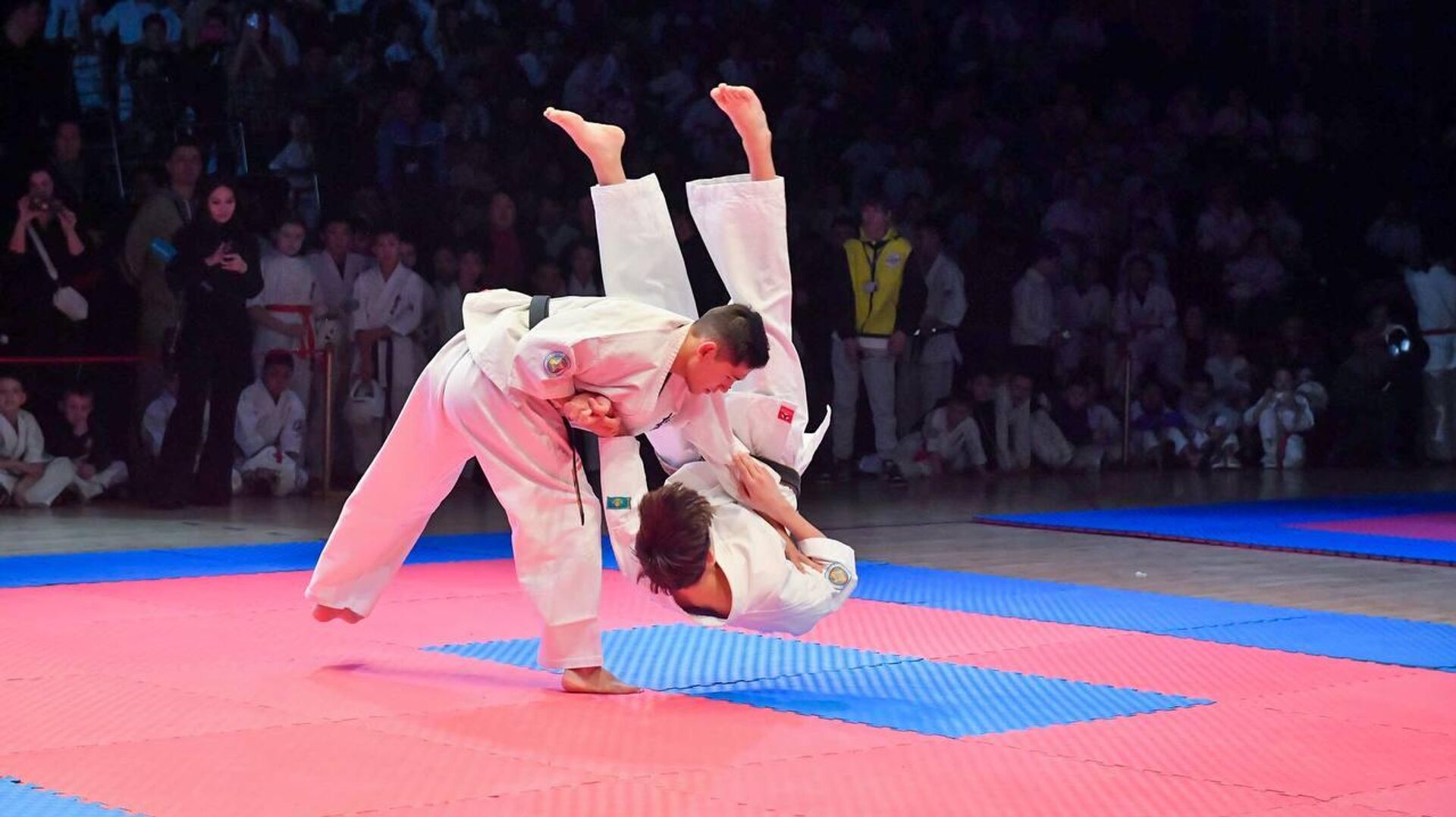 Традиционный Республиканский турнир BUSHIDO CUP по Киокушинкай-кан каратэ.   - Sputnik Казахстан, 1920, 27.01.2025