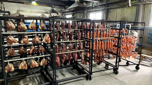 Новые производства в Северо-Казахстанской области  - Sputnik Казахстан