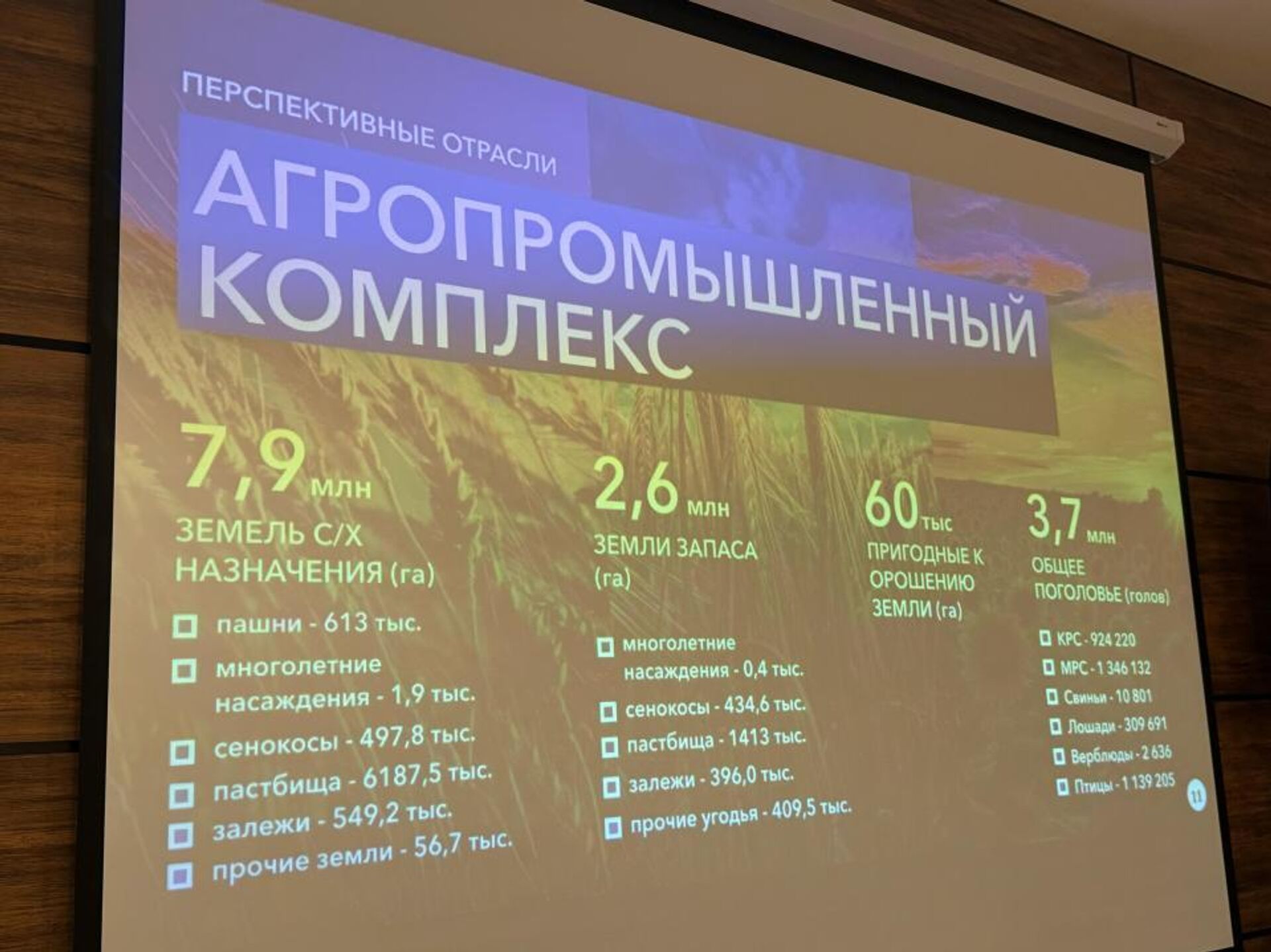 Делегация Западно-Казахстанской области встретилась с вице-губернатором Оренбургской области Петуховым Делегация Западно-Казахстанской области встретилась с вице-губернатором Оренбургской области Петуховым - Sputnik Казахстан, 1920, 19.02.2025