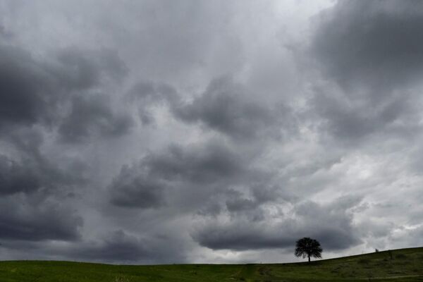 Темные тучи сгущаются над полем с деревом возле деревни Кампия, Кипр. - Sputnik Казахстан
