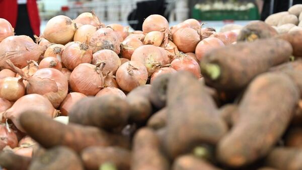 Халық пен азық-түлік өндірушілеріне арналған тариф жыл соңына дейін өспейді - министрлік - Sputnik Қазақстан