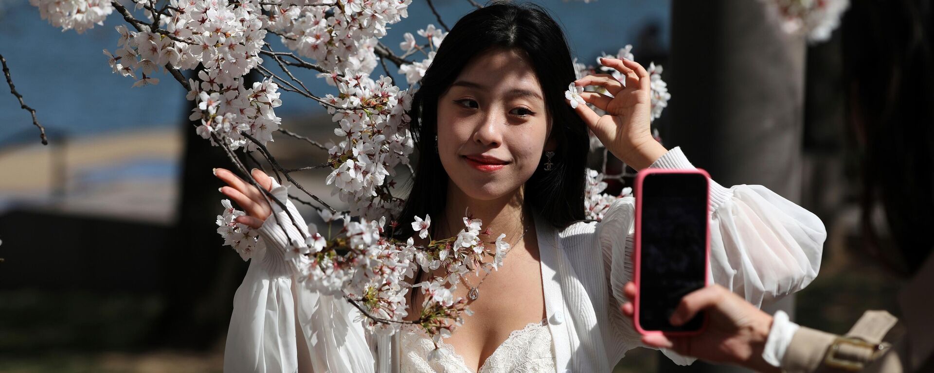 Жер бетінде сакура гүлдеді: әлем елдеріндегі көктемгі көңіл-күй - фото - Sputnik Қазақстан, 1920, 15.04.2025