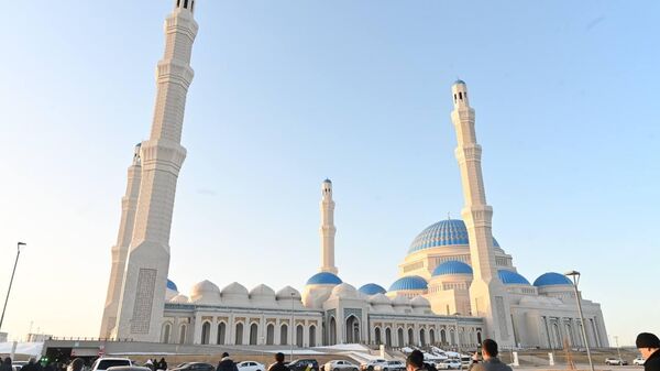 Ростов-на-Донудағы секс серіктес