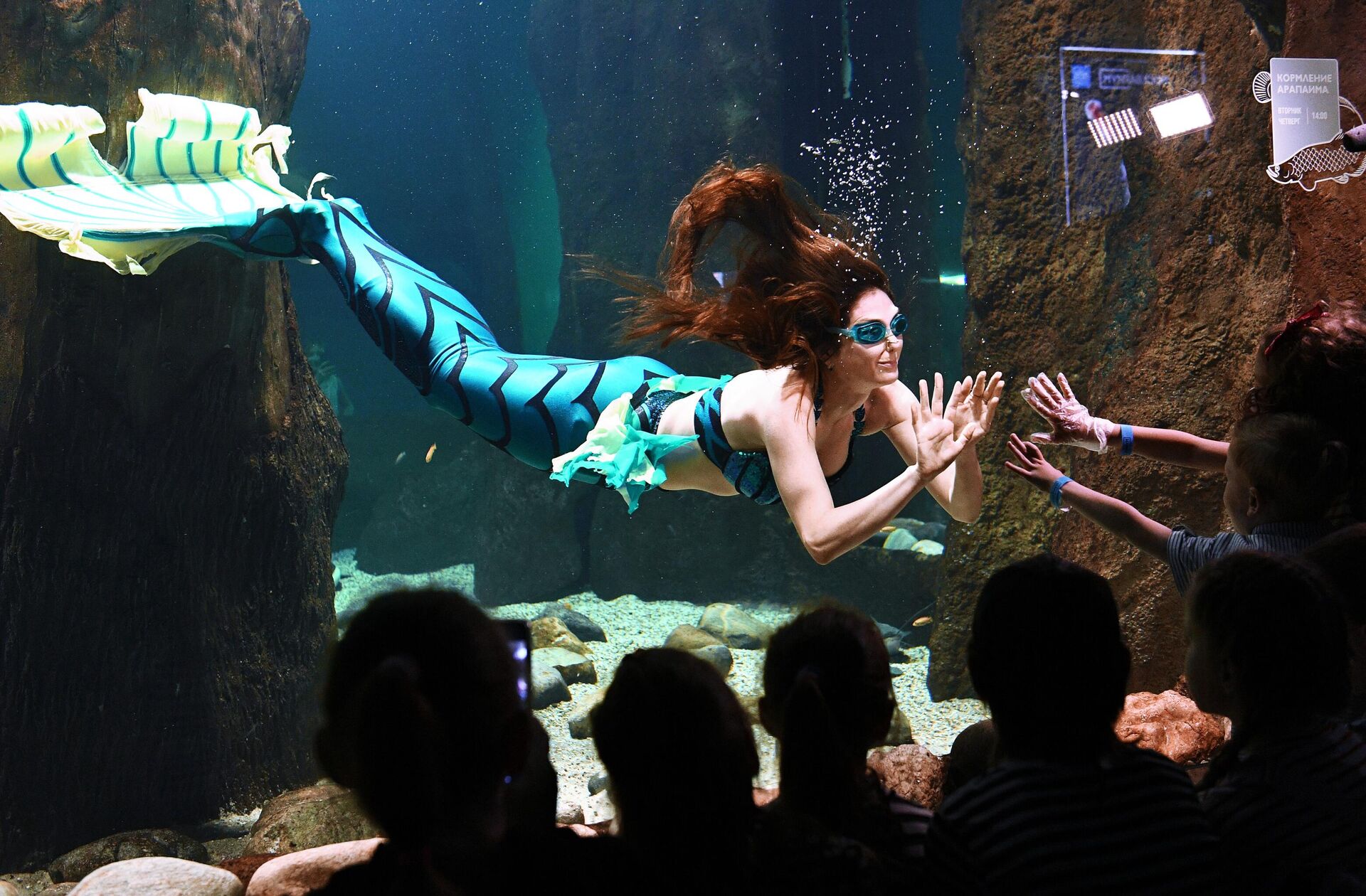 Посетители смотрят подводное шоу ко Дню мореплавателя в Москвариуме Посетители смотрят подводное шоу ко Дню мореплавателя в Москвариуме - Sputnik Казахстан, 1920, 28.03.2026