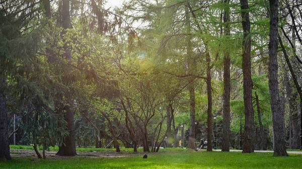 Алматыдағы көктем - Sputnik Қазақстан