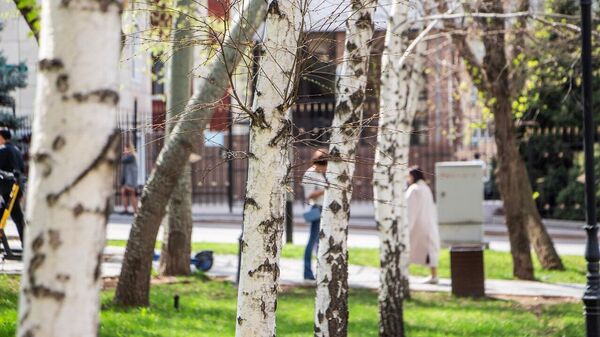 Весна в Алматы - Sputnik Казахстан