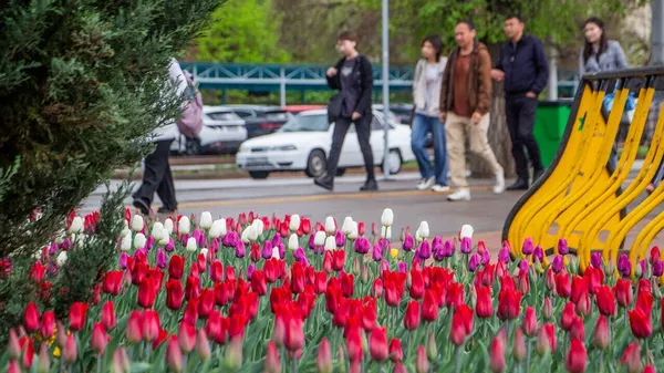 Какая погода будет в Казахстане 6 апреля