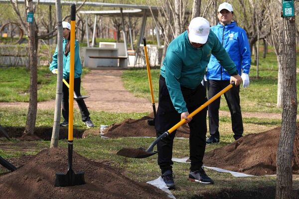 Токаев посадил дерево в столичном парке Жастар - Sputnik Казахстан