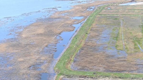 Су тасқыны - Sputnik Қазақстан