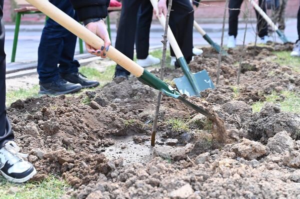 Сад памяти высадили в Астане  - Sputnik Казахстан