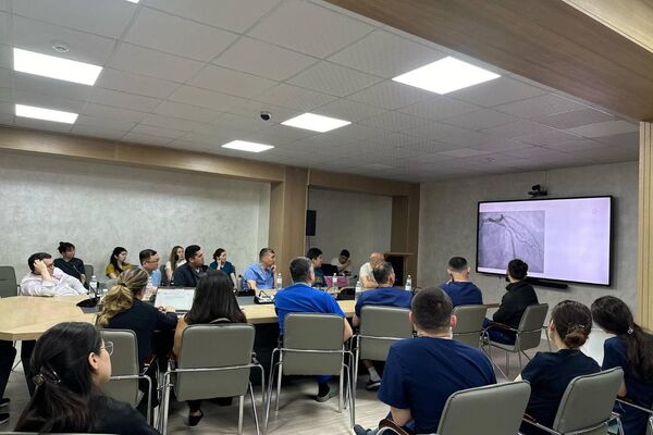 Уникальный аппарат внутрисосудистого УЗИ внедрили в ходе мастер-класса - Sputnik Казахстан