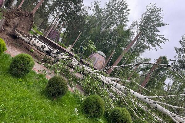 Последствия урагана в Кыргызстане - Sputnik Казахстан