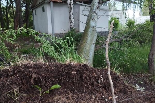 Последствия урагана в Кыргызстане - Sputnik Казахстан