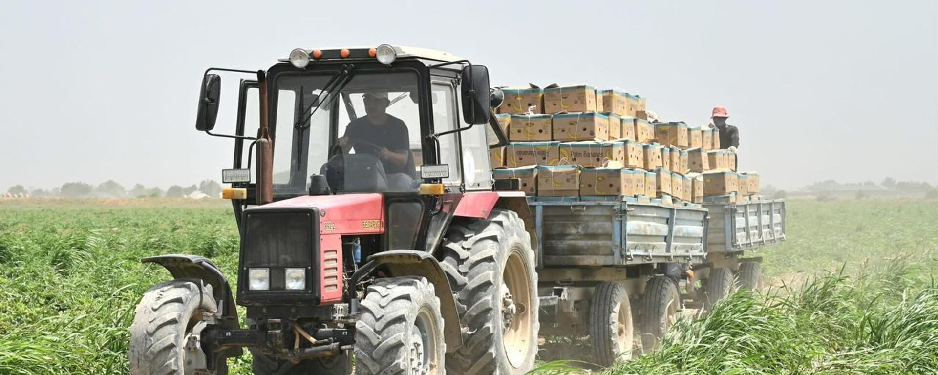 Алматы мен Ақтөбе өңірлерінде фермерлік далалық мектептер ашылады - Sputnik Қазақстан, 1920, 23.06.2025