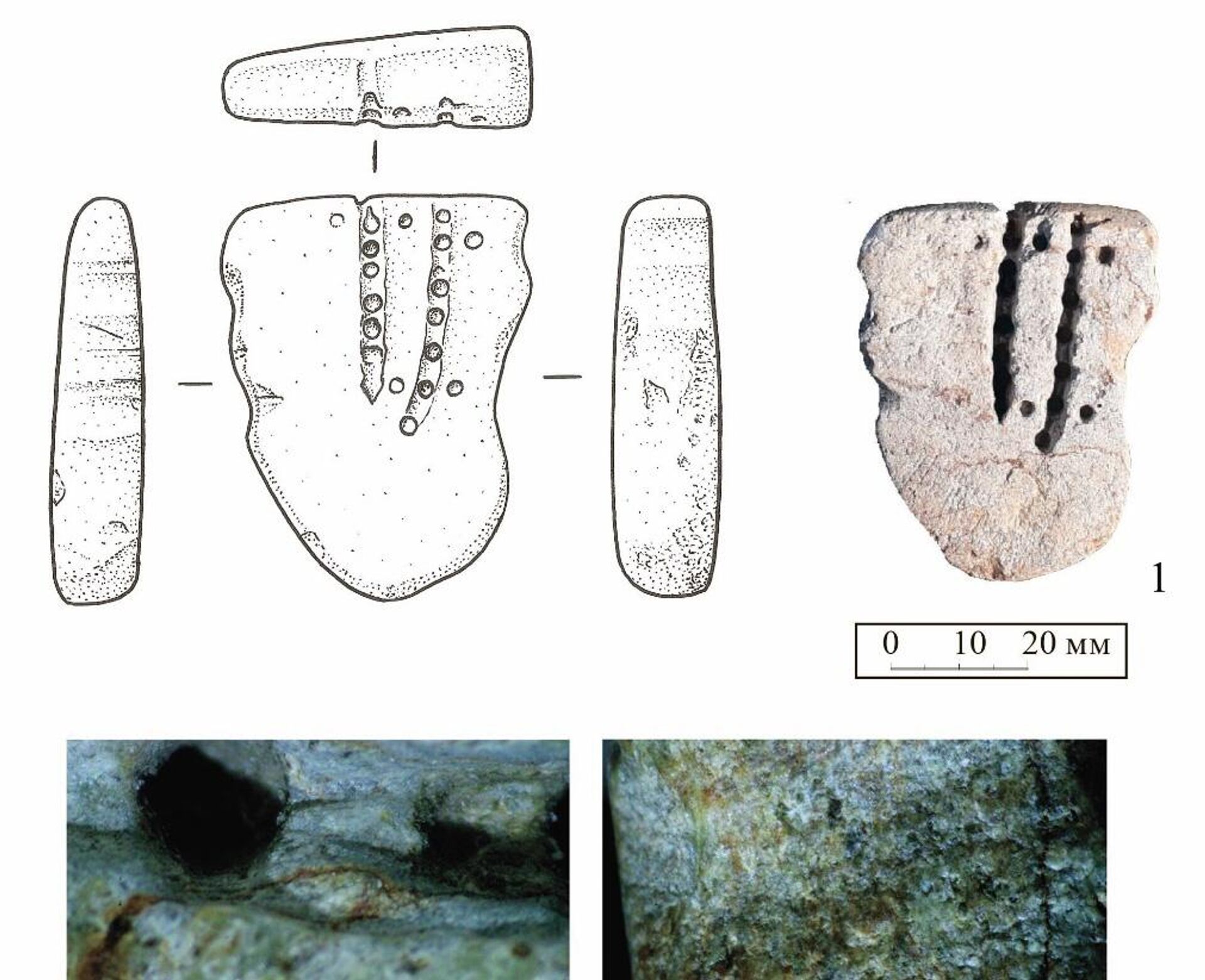 Древнейшие украшения Евразии Древнейшие украшения Евразии - Sputnik Казахстан, 1920, 26.05.2025